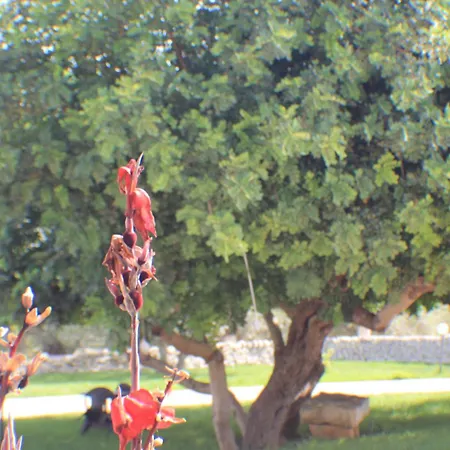 La Casa Della Mamma Casa rural *